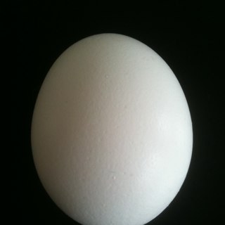 IncognitoSteve's profile picture. 