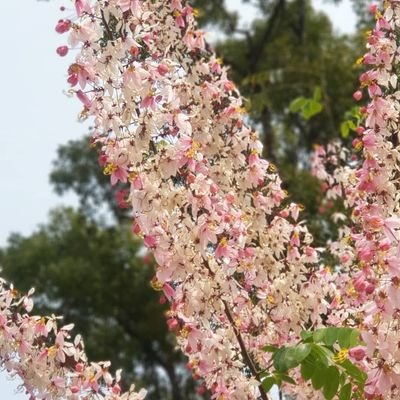 orange331990's profile picture. 