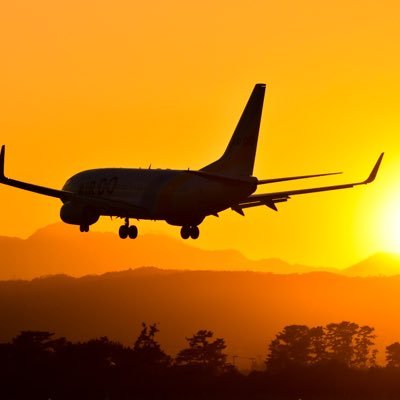 飛行機が好きです‼ 仙台空港で月に3回空活をしています!!カメラはNikon Z6ii  Nikon D5600を使っています。一眼レフ初心者です!! infinite flight やってます。