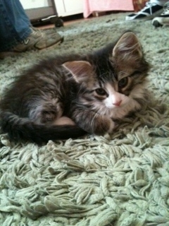 RadfordTa's profile picture. 