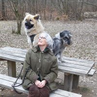 Anita Ingstrup (@aingstrup) 's Twitter Profile