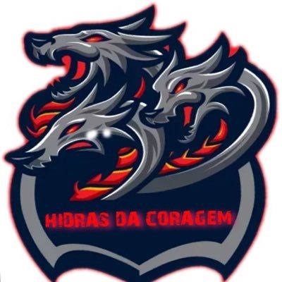 HidrasC's profile picture. Hidras da Coragem. Academia MBL.