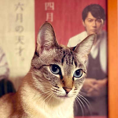 kerotang924's profile picture. ましゃが大好き♡BROS.20期生、FモバW会員。福のラジオ・地底人ラジオ・JET STREAM(専らradikoタイムフリー)リスナー。保護にゃんこのマサシ7才^._.^ フォローの際は一言くださいませ〜