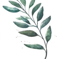 Sadie (@juli10373381) 's Twitter Profile