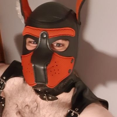 bi guy 39 yo from adel if you live in Australia feel free to dm me :D #adelaide #bear #gay #bi #furr #murrsuit #pup #discreet