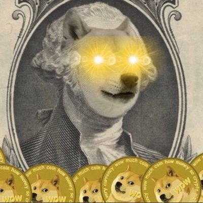 Dogelasereyesさんのプロフィール画像