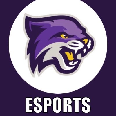 Bethel University (TN) Varsity Esports. Scholarships available for entering freshmen, transfer students, and graduate school.