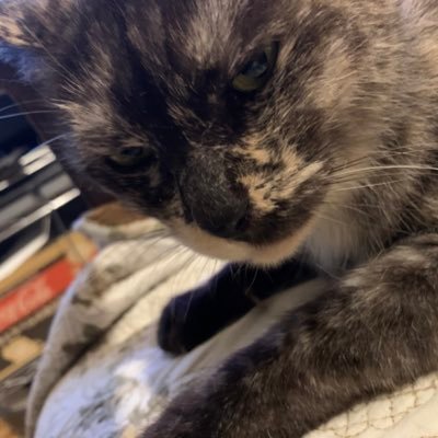 wIZfkRB3uc1cfNu's profile picture. 