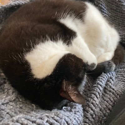 Fiona Pentith #FBPE Profile