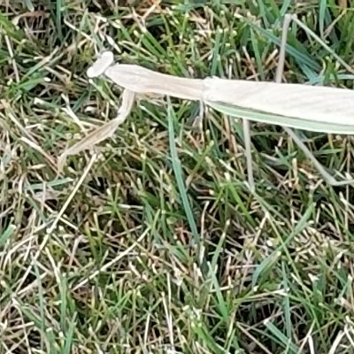 Scottwilson297's profile picture. Ummm