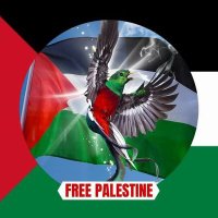 🇵🇸Γιώργος Θαλάσσης🇵🇸Penelope Pitstop🇵🇸(@PhoenixLassie) 's Twitter Profile Photo