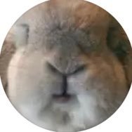 몰라さんのプロフィール画像