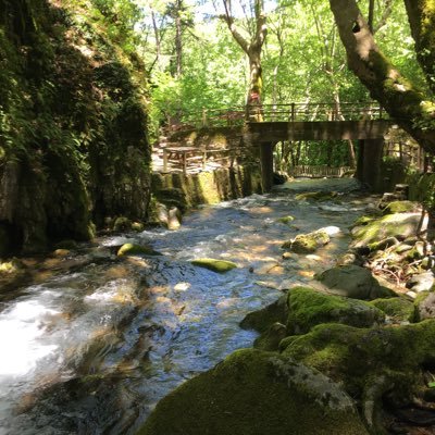 HseyinC38519088's profile picture. Dik dur