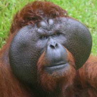 Leo Biddle (@biddle_leo) 's Twitter Profile Photo Leo Biddle (@biddle_leo) 's Twitter Profile Photo