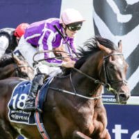 Max Racing Tips (@maxracingtips) 's Twitter Profile
