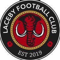 Laceby FC (@lacebyfc) 's Twitter Profile
