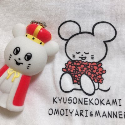 tmikyuuu's profile picture. ハムハムしてればハッピーです🦔￤好きなものを好きなだけ..｡o