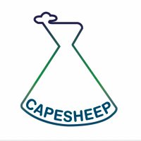 CAPESHEEP(@capesheep) 's Twitter Profile Photo