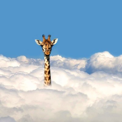 The_naked_mind's profile picture. Fighter for Light