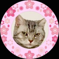 カブキング🛸 (@fudouaizen) 's Twitter Profile