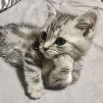 lessonlearnedK's profile picture. Wala