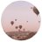 zyoonalaamri's profile image