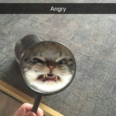 jem_pickens's profile picture. Just a shitlord. 29