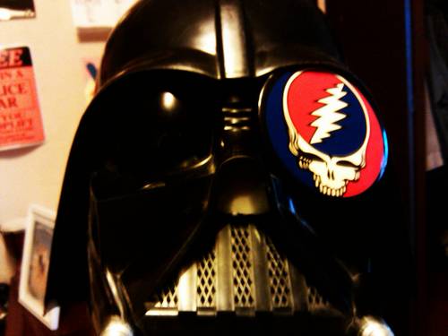 danimal56's profile picture. Take me where the music's playin' 
@Hedonism_Bots
The burning keeps me alive