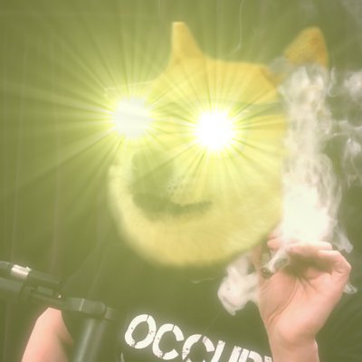 OBI DOGE SHIBNOBI Profile