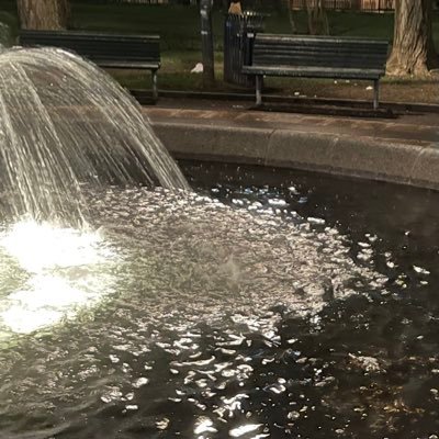 frkoslo's profile picture. Bor i Oslo. Magnet for meningsløs trivia. Klarer ikke å holde liv i planter, så skaffet hund i stedet. To år senere så går det overraskende bra. Hun/henne