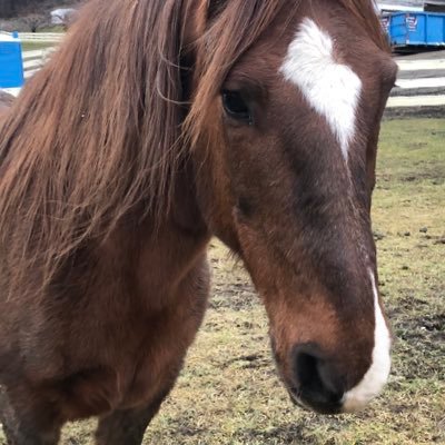 SusanWeeda's profile picture. 