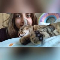 Ece Tufan (@eceetfn) 's Twitter Profile