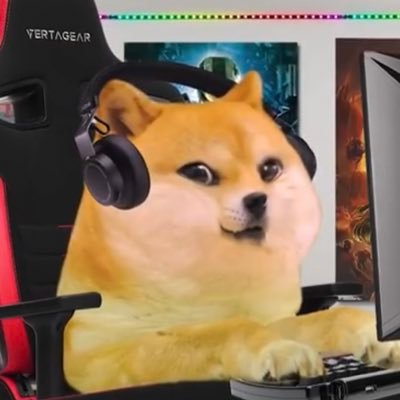 DoggieIntenet's profile picture. Sup boys