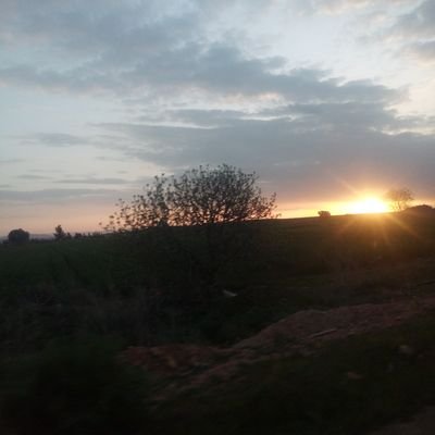 M_cheddad's profile picture. I'll be happy for helping you to explore new skills in web development and more.