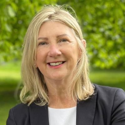 Architectural Heritage Specialist | Want Derelict Buildings resolved | Lawyer | 1st Human Rights case to Ireland in 2002 |D v Ireland #ECHR | mother!