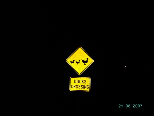 NachoBalotelli's profile picture. 