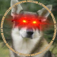 The Littlest HODLer 🇨🇦 (@littlesthodler) 's Twitter Profile