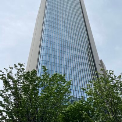 judy_shimo's profile picture. 2024年3月からのTV・新聞の兵庫県報道は許せない！斎藤知事に公に謝らない限りPTSD状態・TVニュース拒否を継続中