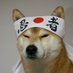 Doge Millionaire Holder (@dogecoinemperor) Twitter profile photo Doge Millionaire Holder (@dogecoinemperor) Twitter profile photo