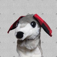 らふど君 (@lafudokun) 's Twitter Profile