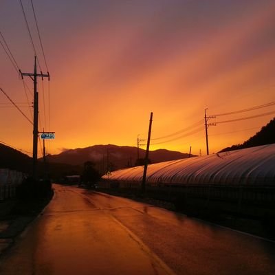 backviewer2931's profile picture. iam man