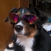 EdDeeArts (@orzodea) 's Twitter Profile
