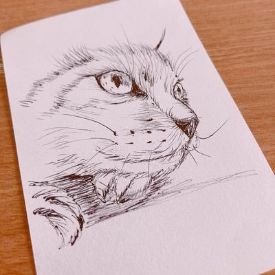 go-chanさんのプロフィール画像