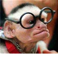 bizzyBTCizzle (@bizzycrypto) 's Twitter Profile