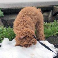 gamehell (@gamehell1) 's Twitter Profile