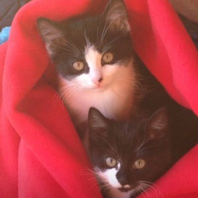 I post photos of my cats, If i’m confident enough I might post a art photo too.