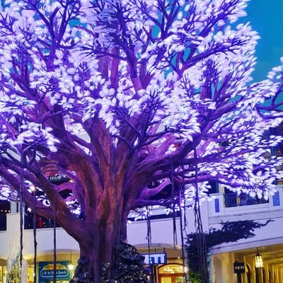 AbdullahCharbel's profile picture. 