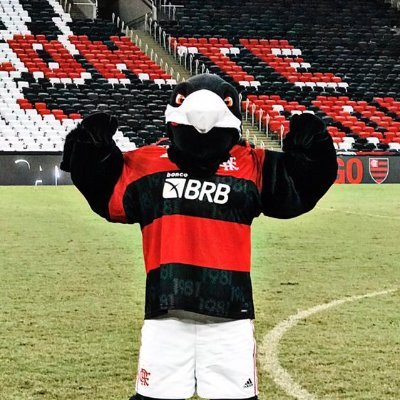 Mascote oficial do @flamengo