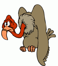 Aasvogel's profile picture. 