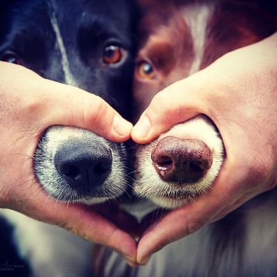 l'amore...
il sentimento più bello al mondo .